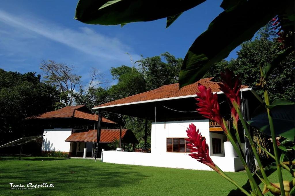 Casa Luz Resort Cabo Matapalo Ngoại thất bức ảnh